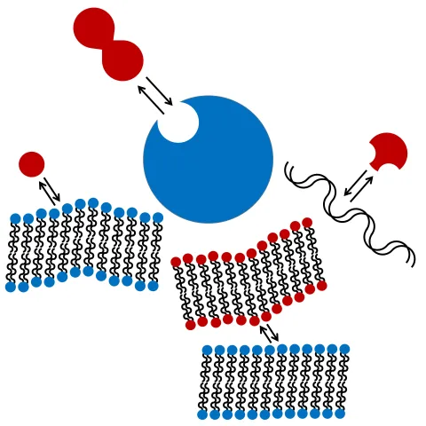 Graphic representing biomolecular structure and function research
