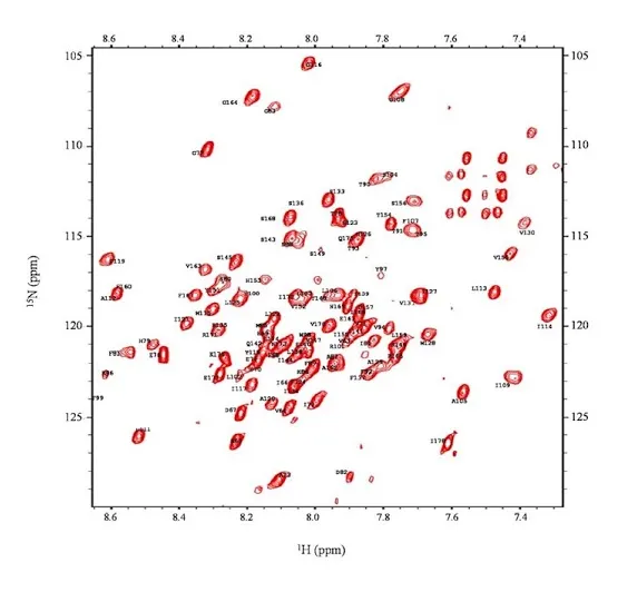 Image showing 2D spectra like the HSQC spectrum of a Caveolin construct from the Glover Lab,