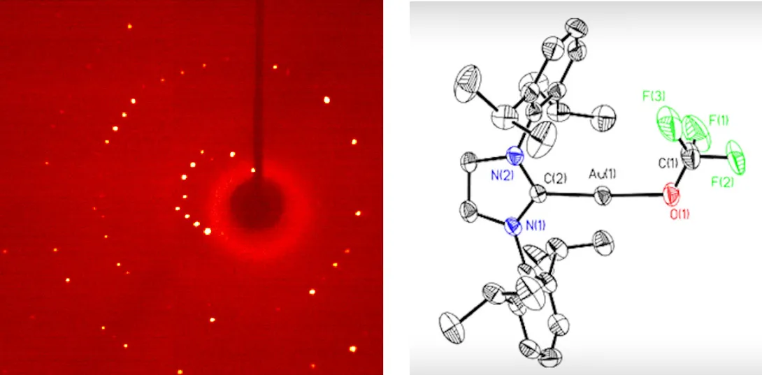 Diffraction and scattering side by side images
