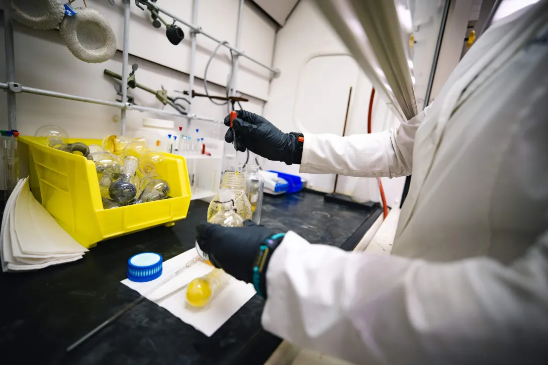 Student working in a lab.