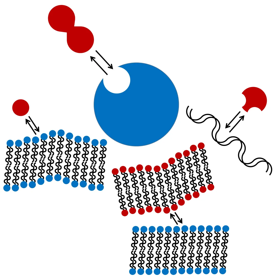 Graphic representing biomolecular structure and function research